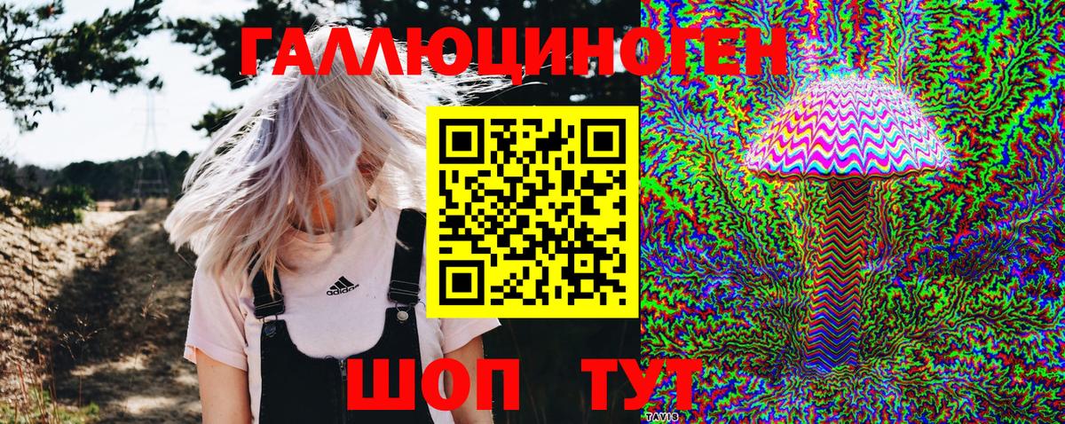 Лабинск  Псилоцибиновые грибы Cubensis  Вход с VPN 